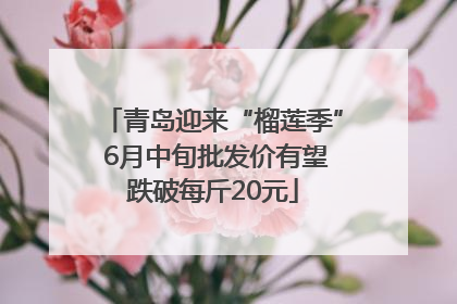 青岛迎来“榴莲季” 6月中旬批发价有望跌破每斤20元
