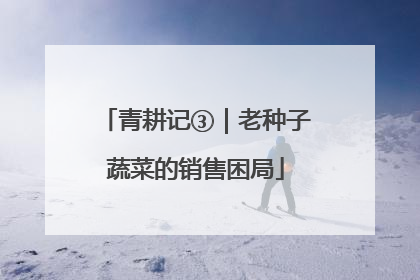 青耕记③｜老种子蔬菜的销售困局
