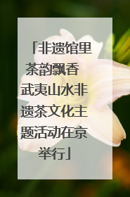 非遗馆里茶韵飘香 武夷山水非遗茶文化主题活动在京举行