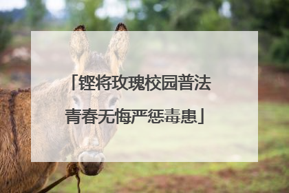 铿将玫瑰校园普法 青春无悔严惩毒患