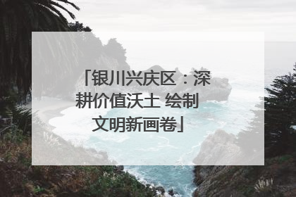 银川兴庆区：深耕价值沃土 绘制文明新画卷
