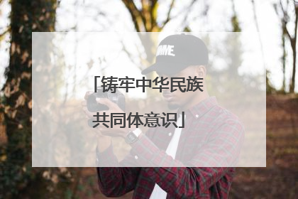 铸牢中华民族共同体意识