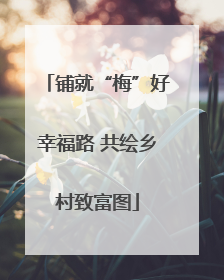 铺就“梅”好幸福路 共绘乡村致富图