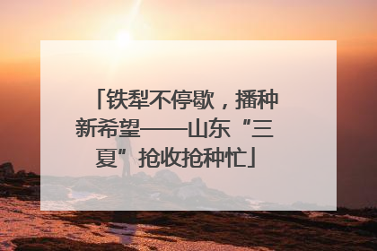 铁犁不停歇，播种新希望——山东“三夏”抢收抢种忙
