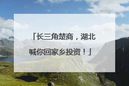 长三角楚商，湖北喊你回家乡投资！