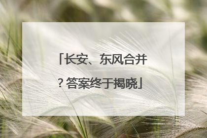 长安、东风合并？答案终于揭晓