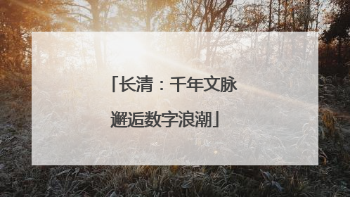长清：千年文脉邂逅数字浪潮