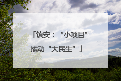 镇安：“小项目”撬动“大民生”