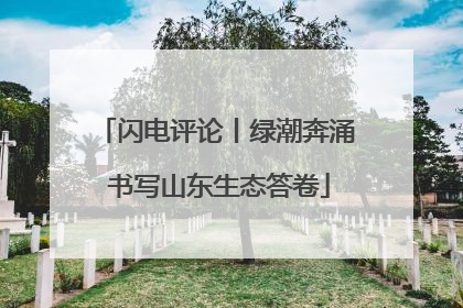 闪电评论丨绿潮奔涌 书写山东生态答卷