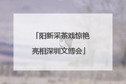 阳新采茶戏惊艳亮相深圳文博会