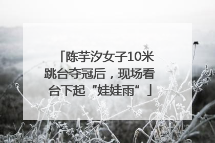 陈芋汐女子10米跳台夺冠后，现场看台下起“娃娃雨”