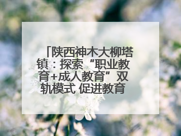 陕西神木大柳塔镇：探索“职业教育+成人教育”双轨模式 促进教育融合发展