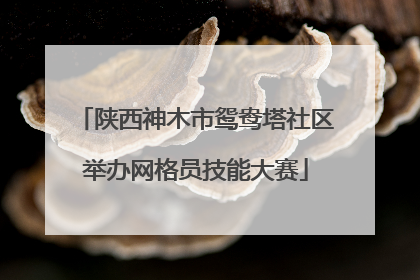 陕西神木市鸳鸯塔社区举办网格员技能大赛