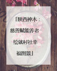 陕西神木：慈善赋能养老 绘就村社幸福图景