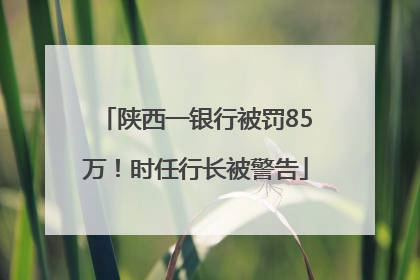 陕西一银行被罚85万！时任行长被警告