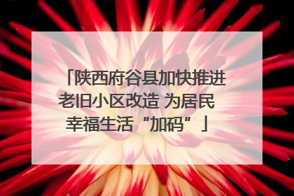 陕西府谷县加快推进老旧小区改造 为居民幸福生活“加码”