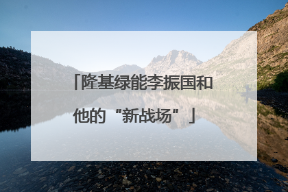 隆基绿能李振国和他的“新战场”