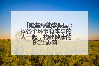 隆基绿能李振国：找各个环节有本事的人一起，构建健康的BC生态圈