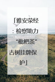 雅安荥经：检察助力“枇杷茶”古树挂牌保护