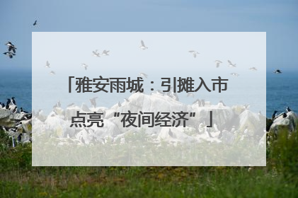 雅安雨城：引摊入市 点亮“夜间经济”