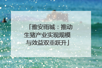 雅安雨城：推动生猪产业实现规模与效益双重跃升
