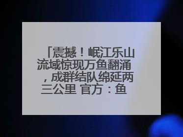 震撼！岷江乐山流域惊现万鱼翻涌，成群结队绵延两三公里 官方：鱼群在此产卵