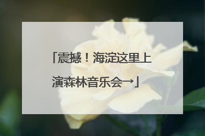 震撼！海淀这里上演森林音乐会→