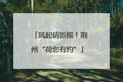 风起倩影摇！荆州“荷您有约”