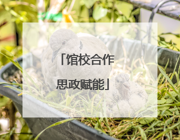 馆校合作 思政赋能