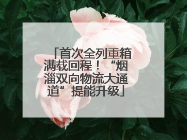 首次全列重箱满载回程！“烟淄双向物流大通道”提能升级