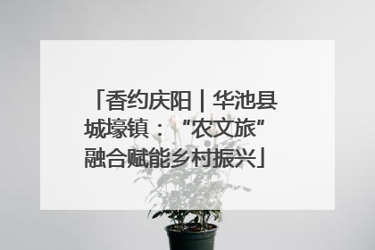 香约庆阳｜华池县城壕镇：“农文旅”融合赋能乡村振兴