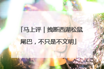 马上评｜拽断西湖松鼠尾巴，不只是不文明