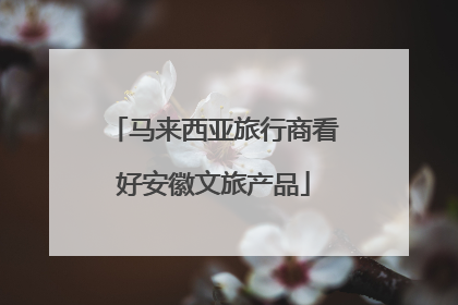 马来西亚旅行商看好安徽文旅产品