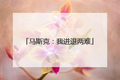 马斯克：我进退两难