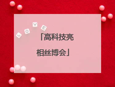 高科技亮相丝博会