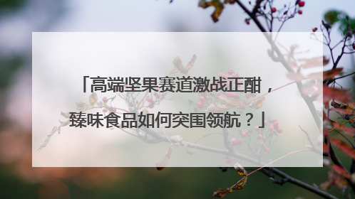高端坚果赛道激战正酣，臻味食品如何突围领航？