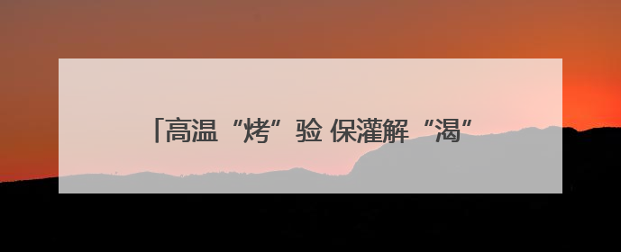 高温“烤”验 保灌解“渴”——北方多地夏管一线见闻