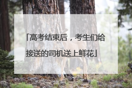 高考结束后，考生们给接送的司机送上鲜花