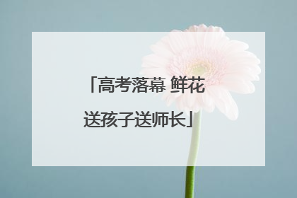高考落幕 鲜花送孩子送师长