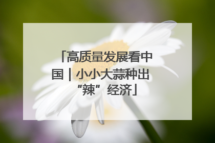 高质量发展看中国｜小小大蒜种出“辣”经济