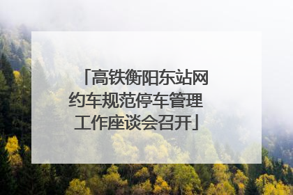 高铁衡阳东站网约车规范停车管理工作座谈会召开