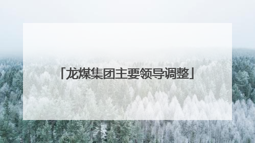 龙煤集团主要领导调整