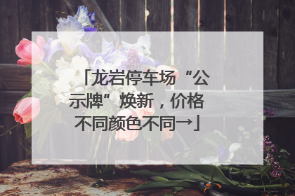 龙岩停车场“公示牌”焕新，价格不同颜色不同→