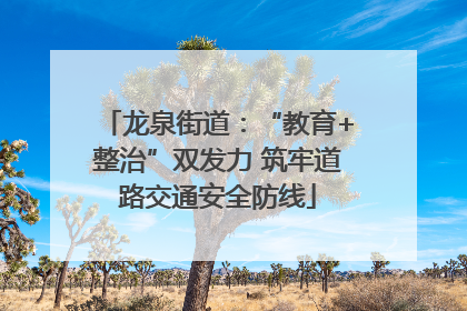 龙泉街道：“教育+整治”双发力 筑牢道路交通安全防线