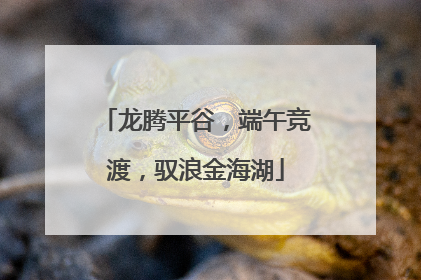 龙腾平谷，端午竞渡，驭浪金海湖