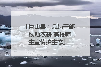 鲁山县：党员干部一线助农耕 高校师生宣传护生态