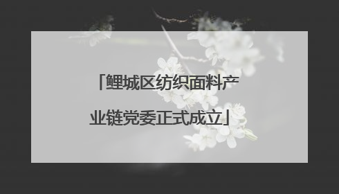 鲤城区纺织面料产业链党委正式成立