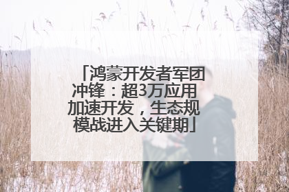 鸿蒙开发者军团冲锋：超3万应用加速开发，生态规模战进入关键期