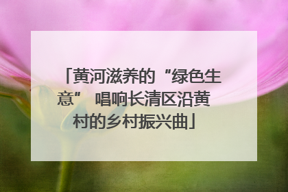 黄河滋养的“绿色生意” 唱响长清区沿黄村的乡村振兴曲