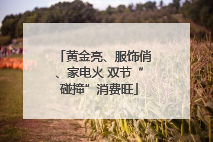 黄金亮、服饰俏、家电火 双节“碰撞”消费旺